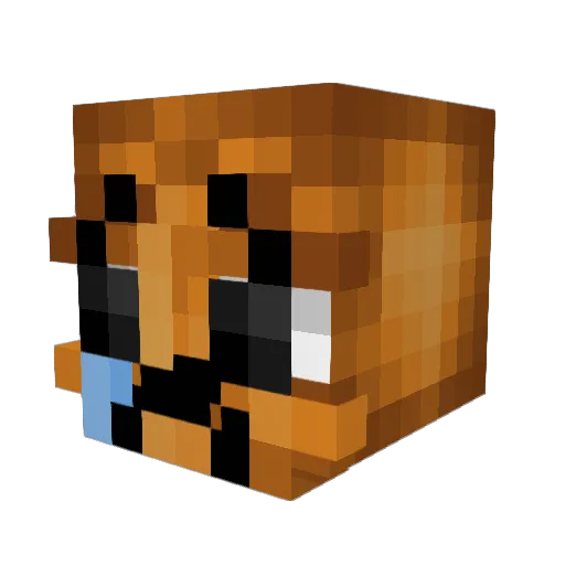 1Ls Minecraft avatar head, 3D render