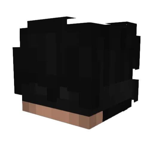 1M4Xx_ Minecraft avatar head, 3D render