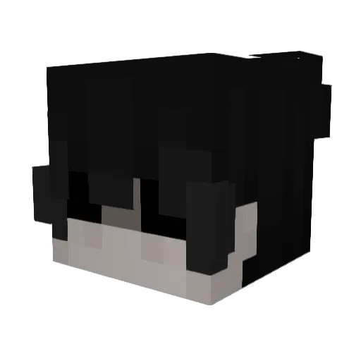 1MadnessYT Minecraft avatar head, 3D render