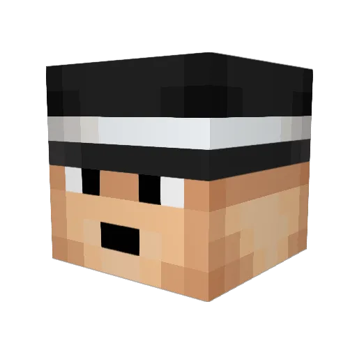 1Maestro1 Minecraft avatar head, 3D render