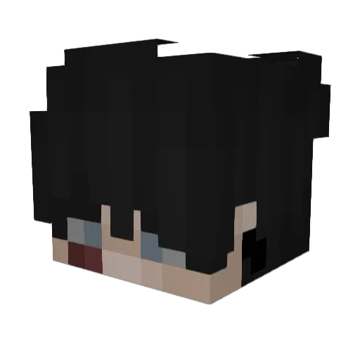 1MasterOogway Minecraft avatar head, 3D render