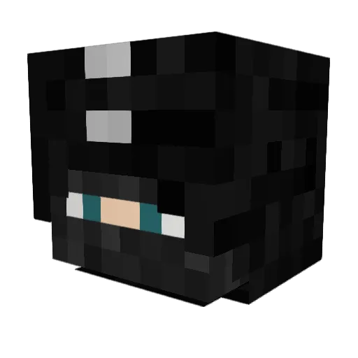 1Mastercard1 Minecraft avatar head, 3D render