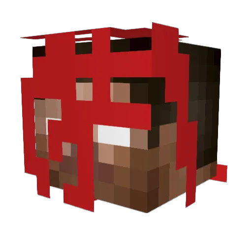 1MetalKing1 Minecraft avatar head, 3D render