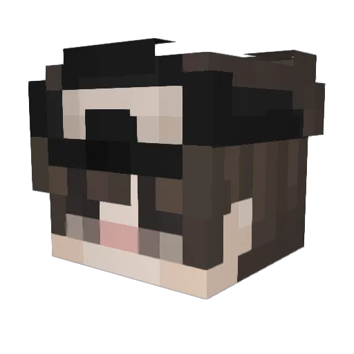 1Michxlada Minecraft avatar head, 3D render
