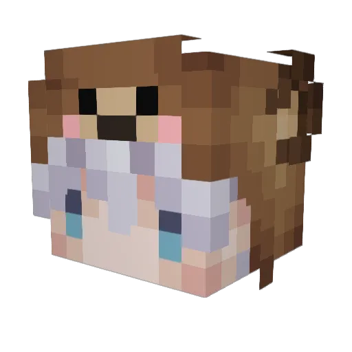 1MillPureSpicy Minecraft avatar head, 3D render