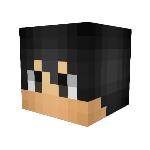 1N0_s Minecraft avatar head, 3D render