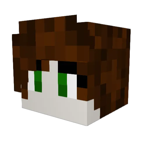1NS4N1TY22 Minecraft avatar head, 3D render