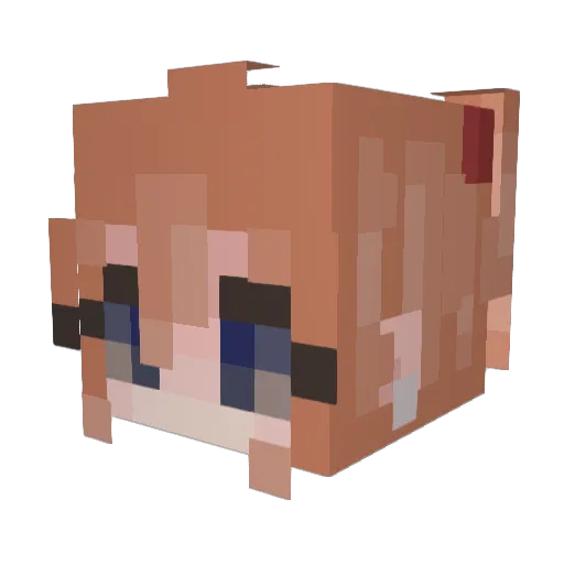 1Nachooo Minecraft avatar head, 3D render