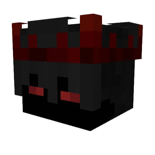 1Nicky1 Minecraft avatar head, 3D render