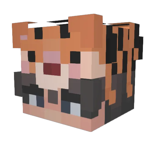 1NightMoonLight Minecraft avatar head, 3D render