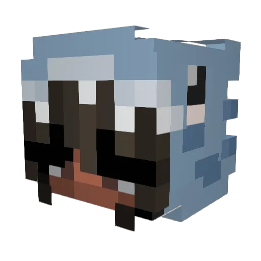 1NyanCat100 Minecraft avatar head, 3D render