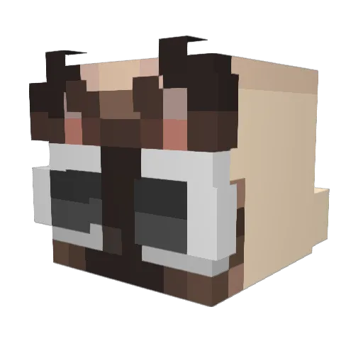 1OvCat Minecraft avatar head, 3D render