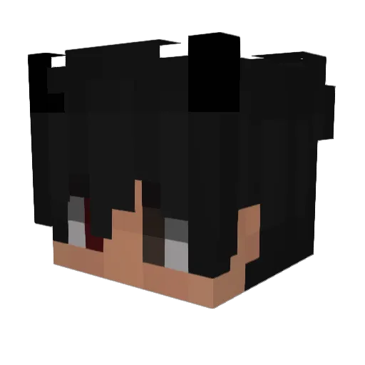 1P1V0 Minecraft avatar head, 3D render