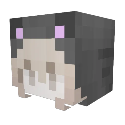 1POVx14xSNIPER Minecraft avatar head, 3D render