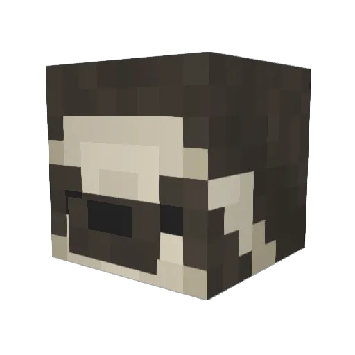 1Paultier Minecraft avatar head, 3D render
