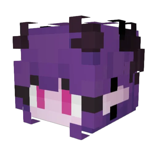 1R1S_ Minecraft avatar head, 3D render