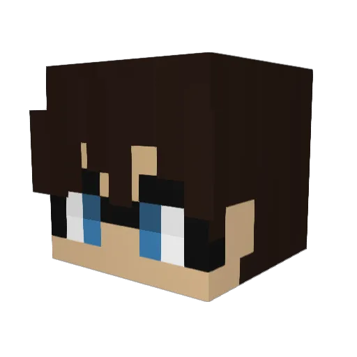 1Raed7 Minecraft avatar head, 3D render