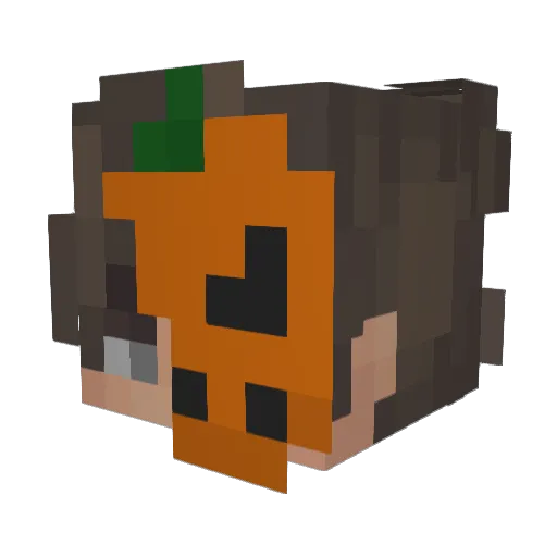 1Rafaell Minecraft avatar head, 3D render
