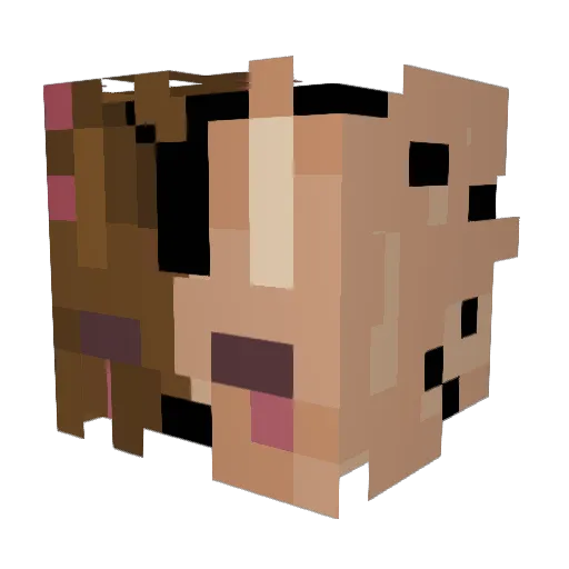 1RavenDarkness1 Minecraft avatar head, 3D render