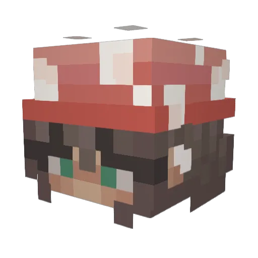 1Raya_ Minecraft avatar head, 3D render
