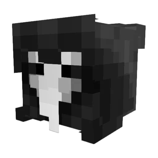 1RodSkiller Minecraft avatar head, 3D render
