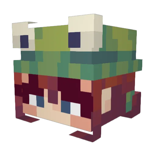 1Roy1 Minecraft avatar head, 3D render