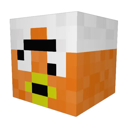 1Salmon1 Minecraft avatar head, 3D render