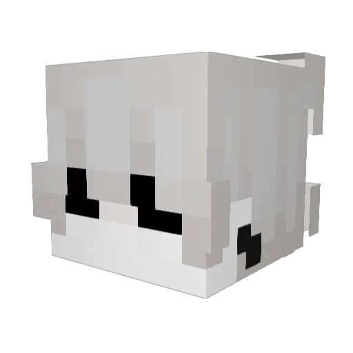 1ShineForMe Minecraft avatar head, 3D render