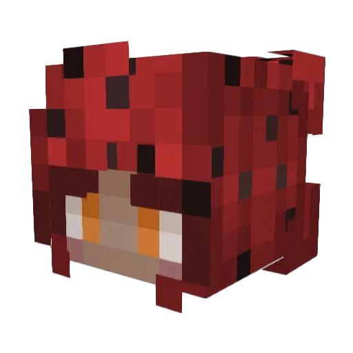 1ShyShy1 Minecraft avatar head, 3D render