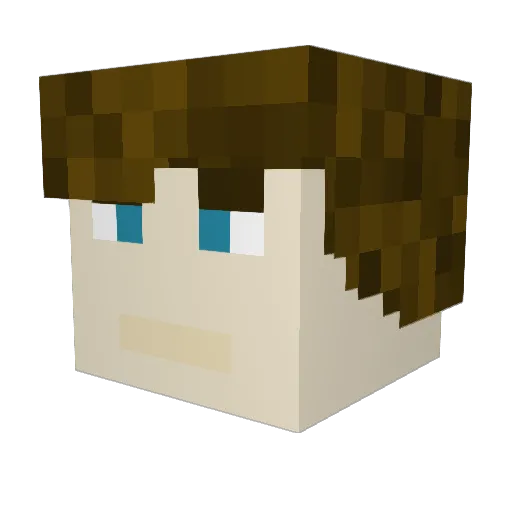 1SilentStranger1 Minecraft avatar head, 3D render