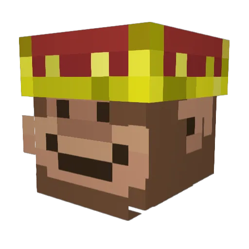 1Skyys Minecraft avatar head, 3D render