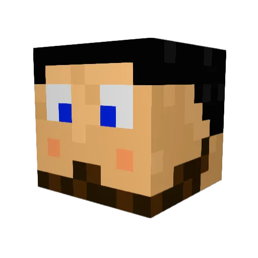 1SociallyAwkward Minecraft avatar head, 3D render