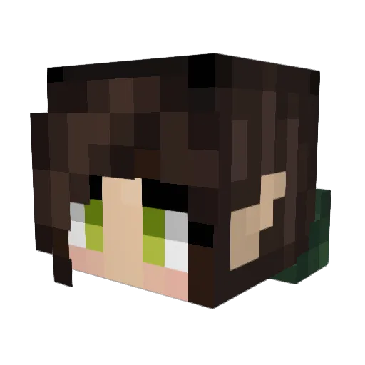 1Squidney1 Minecraft avatar head, 3D render