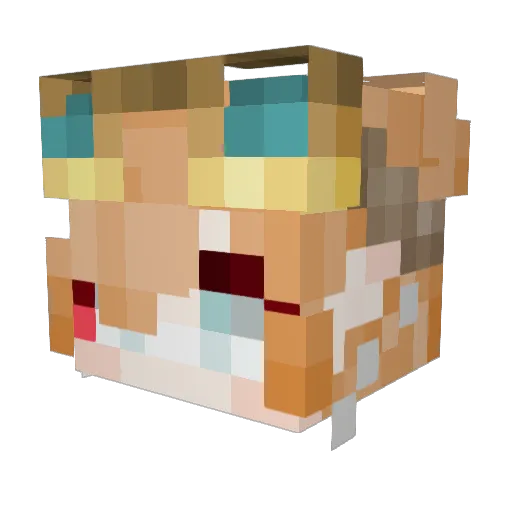 1Tac1 Minecraft avatar head, 3D render