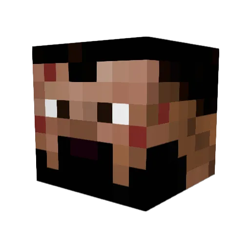 1TooZz Minecraft avatar head, 3D render