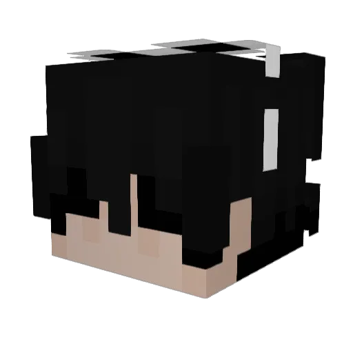 1Valee Minecraft avatar head, 3D render