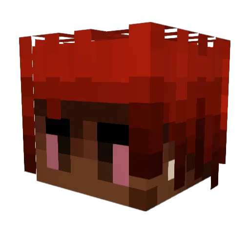 1Voah Minecraft avatar head, 3D render