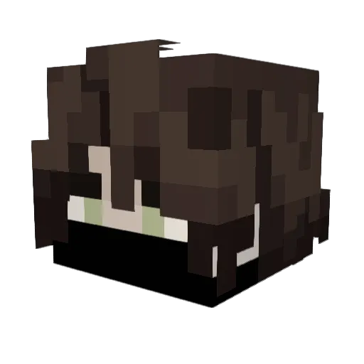 1WantForGardonit Minecraft avatar head, 3D render