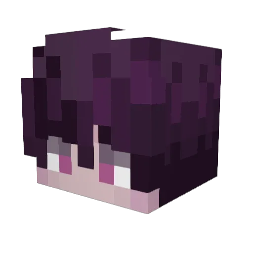 1WolfNinja1 Minecraft avatar head, 3D render