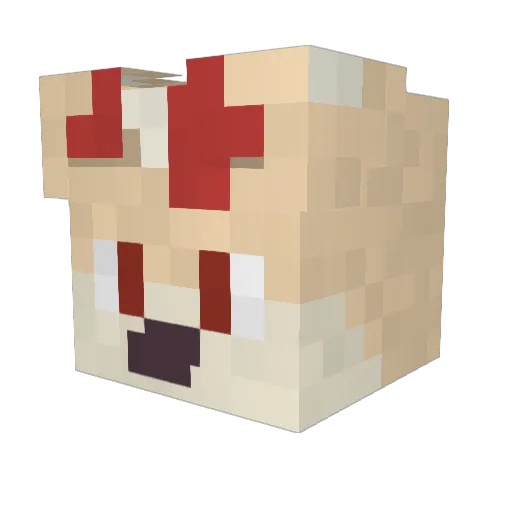 1XI1 Minecraft avatar head, 3D render