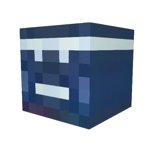 1XeNoX1 Minecraft avatar head, 3D render