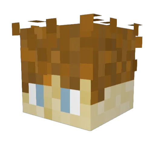 1Z4K_W Minecraft avatar head, 3D render