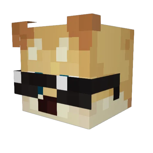 1ZaniPek Minecraft avatar head, 3D render