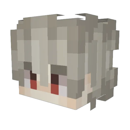 1_0_shadow_0_1 Minecraft avatar head, 3D render