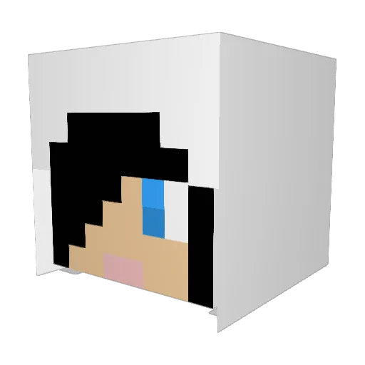 1_BlueJay_1 Minecraft avatar head, 3D render