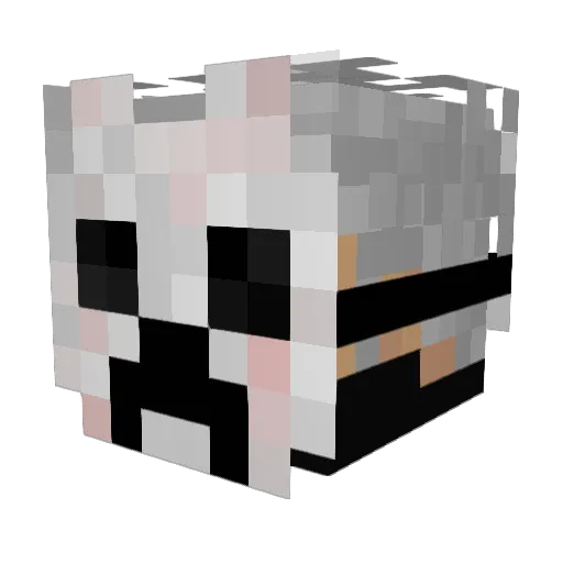 1_Clone_1 Minecraft avatar head, 3D render