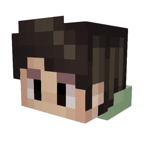 1_DoroTI_1 Minecraft avatar head, 3D render