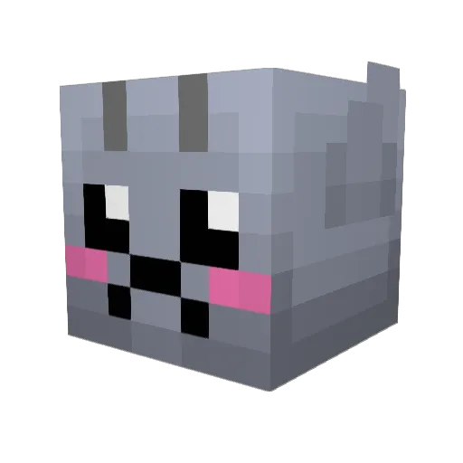 1_Ducky_1 Minecraft avatar head, 3D render