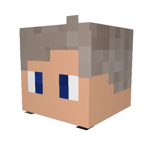 1_Elit3 Minecraft avatar head, 3D render