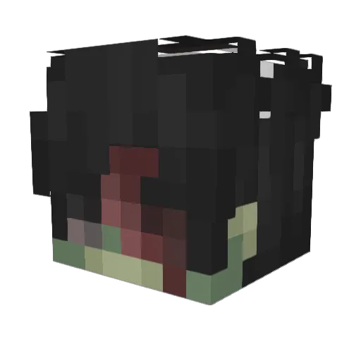 1_Feathers Minecraft avatar head, 3D render